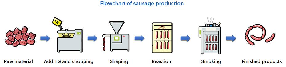 Determinación de la transglutaminasa estándar Tg - B Sausage